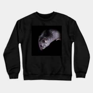 Ground cuscus Crewneck Sweatshirt